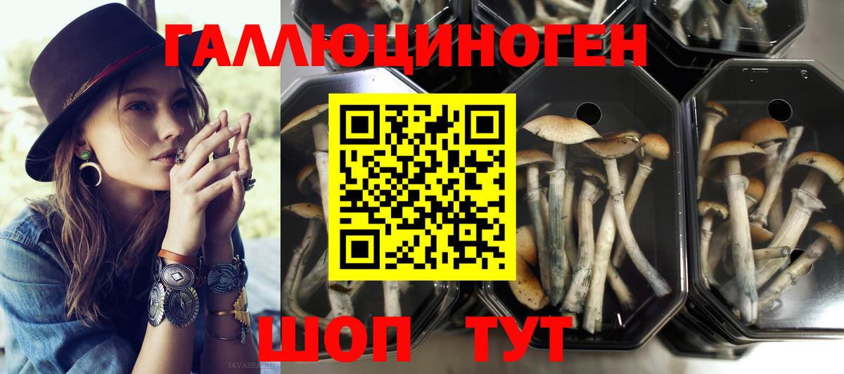 купить  сайты  Вход с VPN  Алушта  Галлюциногенные грибы прущие грибы 
